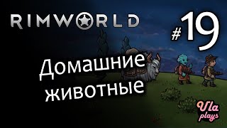 Заводим домашних животных - Rimworld Hardcore SK #19 | Учебное прохождение