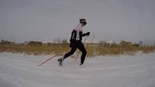 Cross-Country Skiing Tipton Park