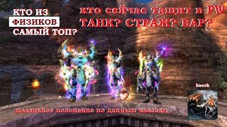 КТО ТАКИЕ ФИЗИКИ в Perfect World? вар#танк#страж