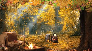 Fall Ambience🍁 | Autumn Forest Ambience & Relaxing Campfire🍁 | Cozy Autumn🍁