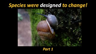 God deliberately engineered life to change (Species Were Designed to Change, part 1)