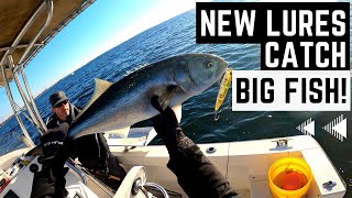 Fall Fishing in Long Island Sound (Plus New Lures!)