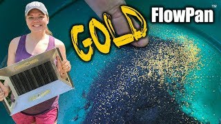 Gold Panning in Georgia with the FlowPan