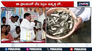 మానేరు లో చేప పిల్లల పంపిణీ | Fish Distribution at Maneru | Pura Local