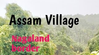 #Assam_#Beautifulplace_#Minivlog_