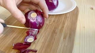 Simple Onions Tasty Recipe