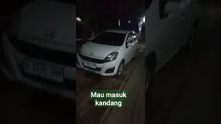 mau masuk kandang