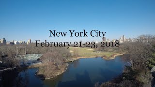 NYC : a teenagers view February 2018