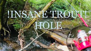 The Most INSANE Place To Catch Trout - Catch Clean and Cook (ROTR) “King Of The Creek”