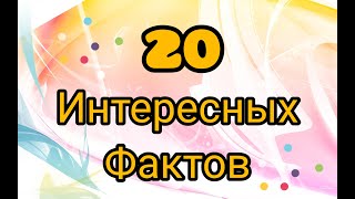 20 интересных фактов