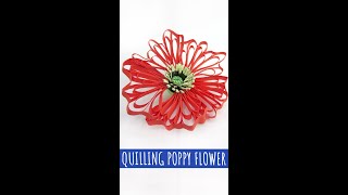 DIY Quilling Poppy Flower | Paper Crafts | #shorts