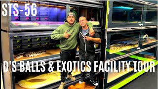 D'S BALLS & EXOTICS FACILITY TOUR | BURMESE PYTHON BREEDER | BALL PYTHONS | STS-56