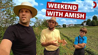 Weekend With Amish Farmer 🇺🇸