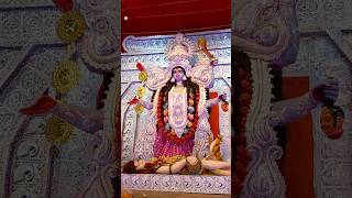 Baghbazar Poush Kali Puja 2023 #shorts