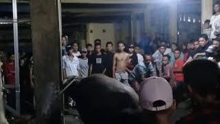 TRADISI PUNGGAHAN MOTONG KERBAU MENYAMBUT BULAN SUCI RAMADHAN DI KEC. MEDANG DERAS KAB. BATU BARA