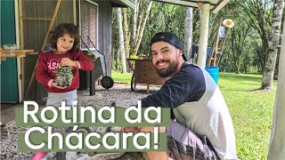 ROTINA DA CHÁCARA | Dia de CHUVA Mas Muito ATAREFADO