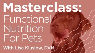 Masterclass: How to Integrate Functional Nutrition into Pet Patient Care