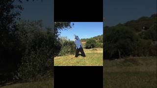 Taiji Qigong (Shibashi) Movement 8: Turning to Look at the Moon #taijiqigong #qigong