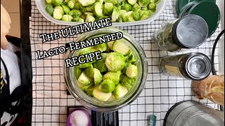 REALLY EASY FERMENTED BRUSSEL SPROUTS Recipe