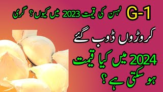 G1 lehsen low prices | G1 garlic future in pakistan | Murad Ali Rehmani