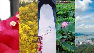 Come and check out the diverse colors of Wuzhou.