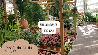 Desafio dos 31 dias || Dia #22 || Comprei plantas novas || Filipa da Costa