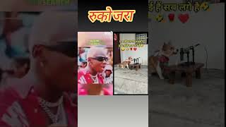 MC Baba V/S Dog 🐕 Africa First Rapper #viral #funny #tranding #mcbaba