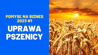 Uprawa pszenicy | Pomysł na biznes 2023 #1