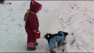 Гостим у бабушки в деревне. Показываем животных. Гуляет с собачкой Йоркширским терьером Тотошей.