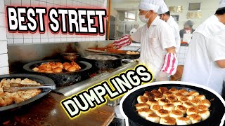 Shanghai's Amazing Street Food! Potstickers!