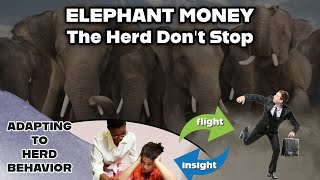 ELEPHANT MONEY Herd jumps off a cliff – Let's Consider Why & What This Tells Us About EM (TA)