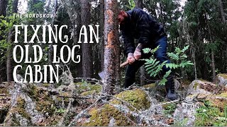 Time to Fix an old log cabin | Off Grid Homestead