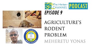 Agriculture's Rodent Problem