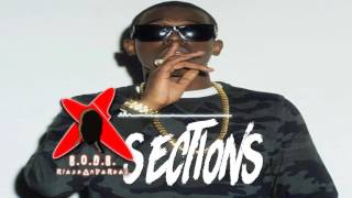 Bobby Shmurda x Trae Tha Truth x 808 Mafia Type Beat - Sections (Prod. By BlazeOnDaBeat)