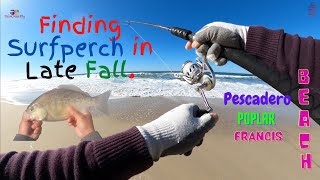 Finding Surfperch in Late Fall | Pescadero|Poplar|Francis beaches.