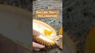 #durian #durianindonesia #durianlover