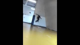 Wall flip attempt