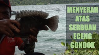 Mancing Diganggu Eceng Gondok Auto Pulang