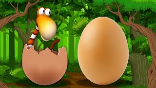 Gazoon | Jungle Games🥚Jungle Book Diaries | Funny Animal Cartoon For Kids