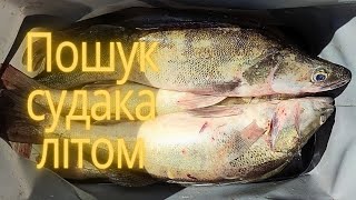 Де Стоїть СУДАК ЛІТОМ, Ловля судака на джиг, Рибалка на судака