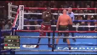 Best Trilogy in Boxing 2021 - Tyson Fury Vs Deontay Wilder 3 Brutal KO