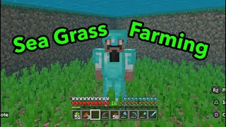 Minecraft: How to Build a Sea Grass Farm