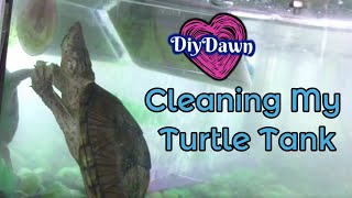 Cleaning my turtle tank | Speed Cleaning | DiyDawn