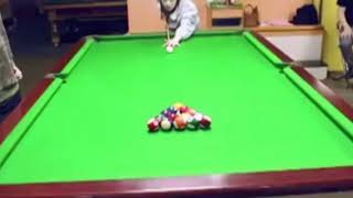 Ending a game of pool with one shot 😱