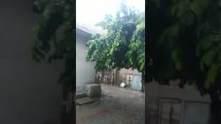 Barish #rain #youtube #youtubeshorts #lifeandliving #shorts