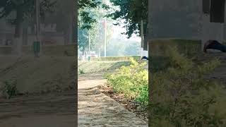 Flag View #flag #newvideo #nature #travel #bhagalpur