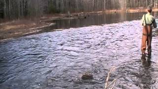 Early Spring Trout Fishing Pt. 1