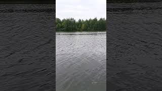 River in slow motion #meditation # relaxing