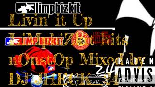 LIMPBIZKIT nonstop music hits (mixed by DJ jheCK24 / AUDIO)