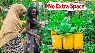 How to Start Backyard Farming Without Needing Extra Space or Money